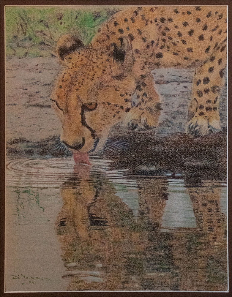 Moroukian1-Cheetah-at-Water-Hole