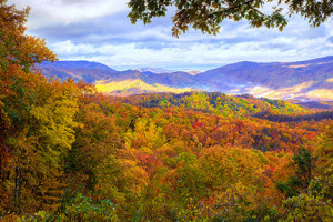 Roaring Fork Vista Roaring Fork Vista