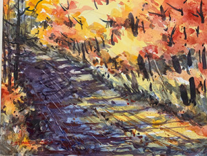 Autumn Light and Shadows Autumn Light and Shadows by Doug Mays