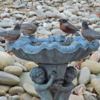 Just Like the Bickersons