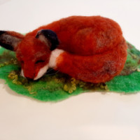 Sleeping Fox