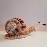 Snail