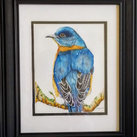 Grandpa Bill's Bluebird