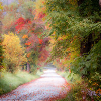 Cades Cove Road in Fall