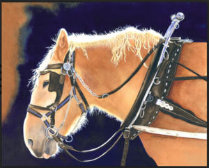 Gentle Ben by Linda Johnson