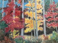 Happy Hollow Road Happy Hollow Road