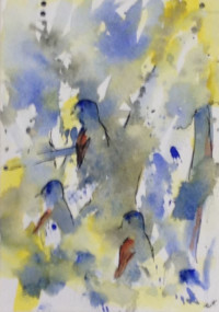 Where the Birds Are (Rex Redd W/shop) Where the Birds Are (Rex Redd W/shop)