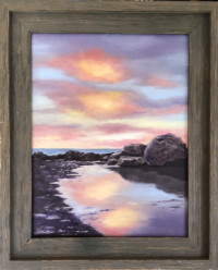 Coral Tide Pool Coral Tide Pool