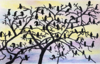 Cormorants Cormorants