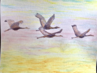 Evening Flight Evening Flight